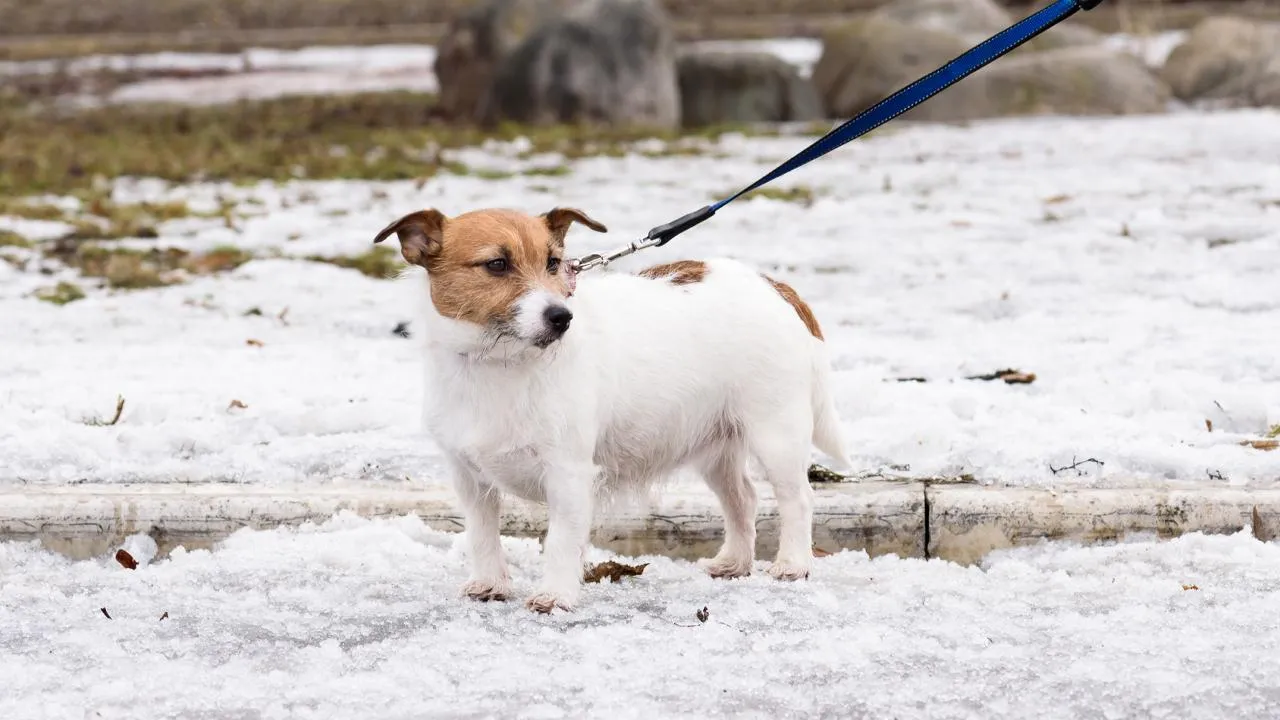 istockphoto.com/alexei_tm