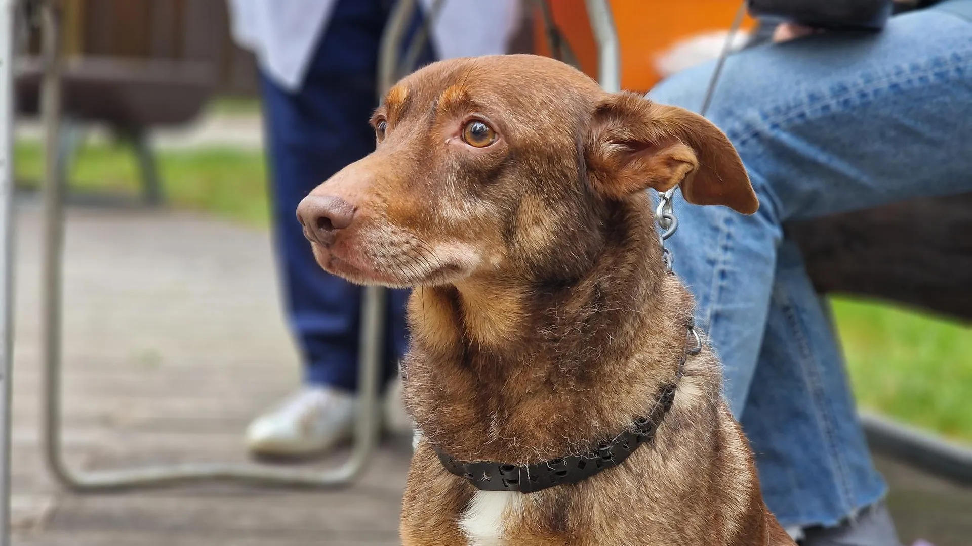 Фото: Виктория Фортуна