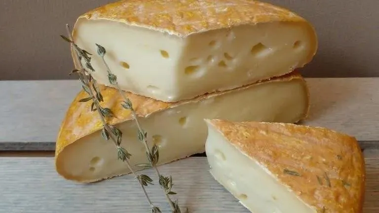 Источник фото: крестьянско-фермерское хозяйство «Ворона и лисица»