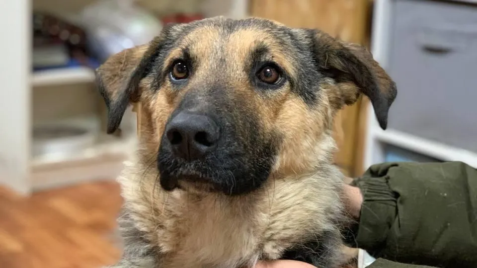 Фото: личный архив Натальи