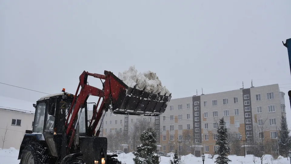 Фото: МедиаБанк Подмосковья/Владимир Останин