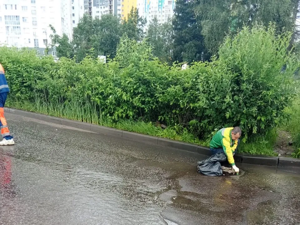 Фото: пресс-служба администрации г.о. Солнечногорск