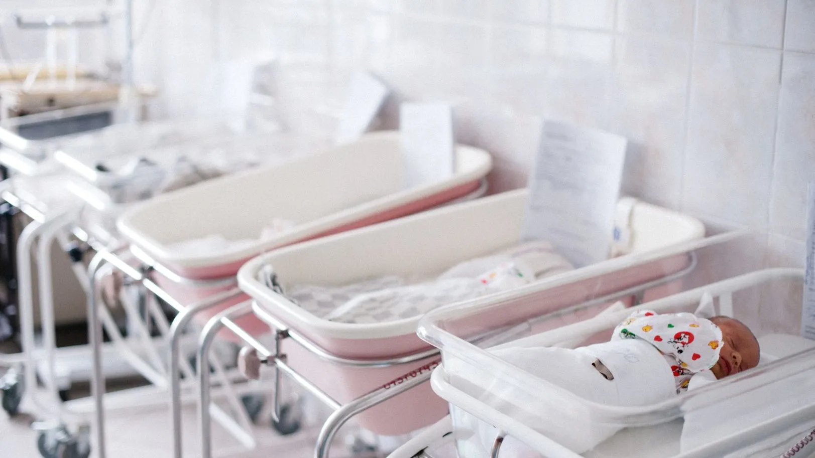 Фото: Медиасток Подмосковья