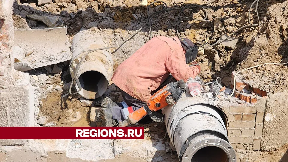 Фото: Хавива Фонина