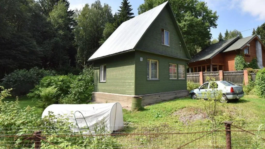 Фото: медиасток.рф