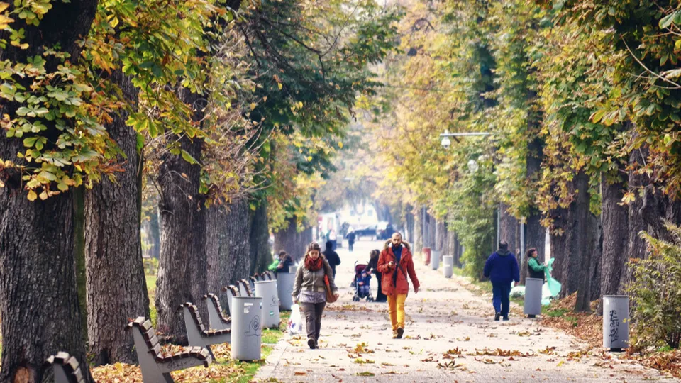 Фото: pxhere.com