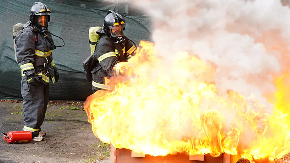 Фото: REGIONS/Анна Быкова