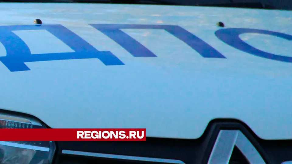 Фото: REGIONS/Василий Тремасов