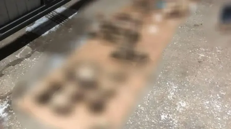 Останки. Фото: прокуратура Москвы