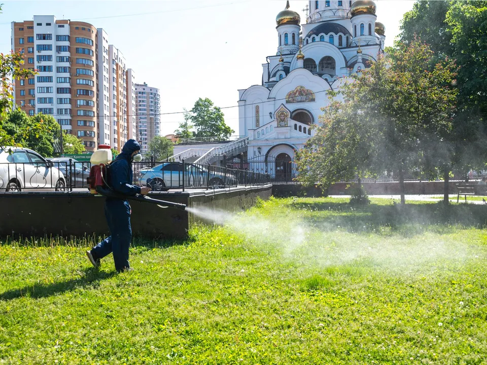 Фото: администрация г.о. Реутов