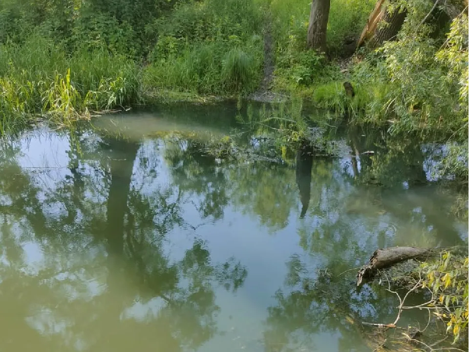 Фото: пресс-служба администрации м.о. Серебряные Пруды