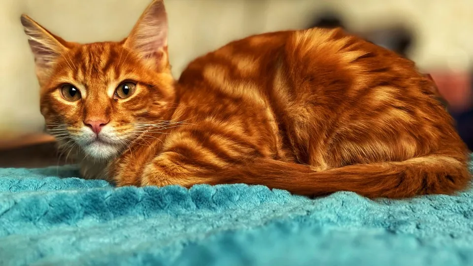 Фото: REGIONS/Антонина Гареева