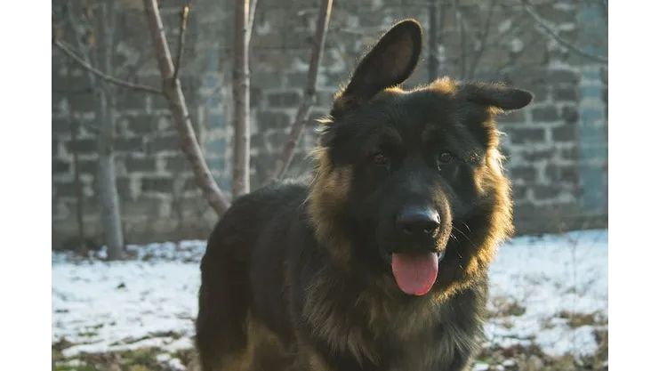 Источник: www.freepik.com