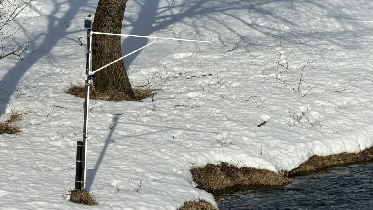 REGIONS/Яна Шаливская