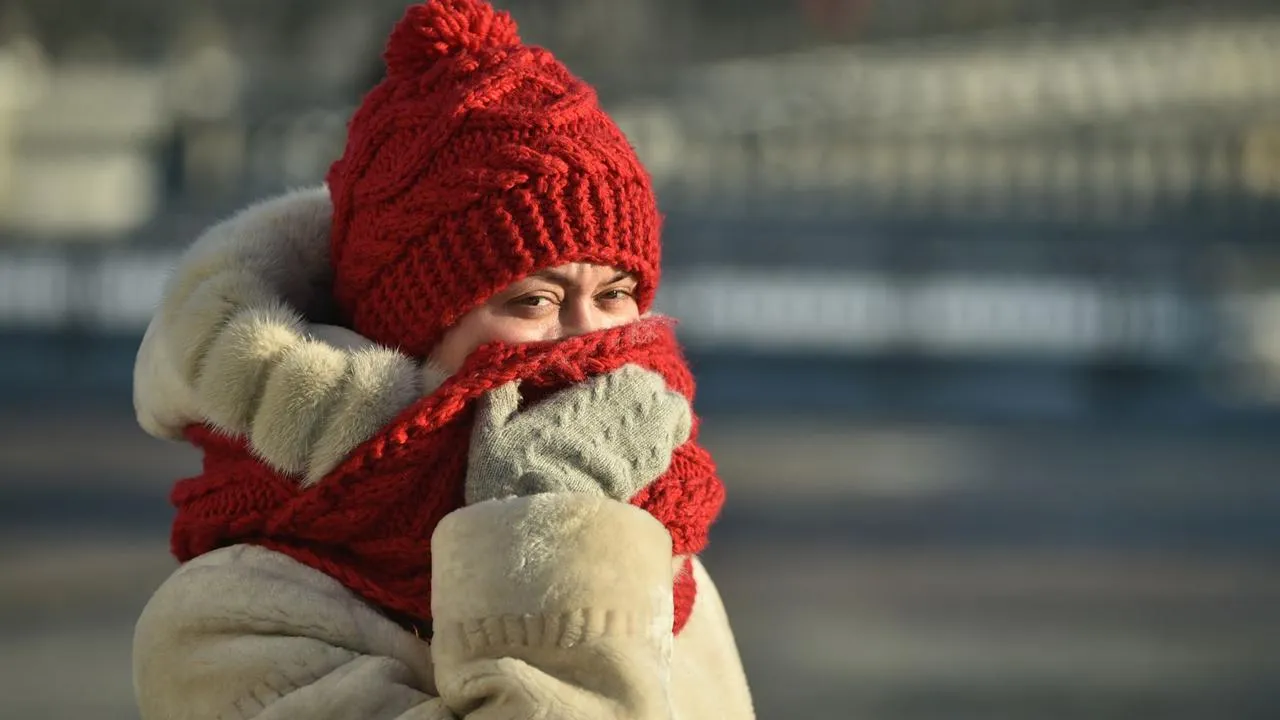 медиасток.рф