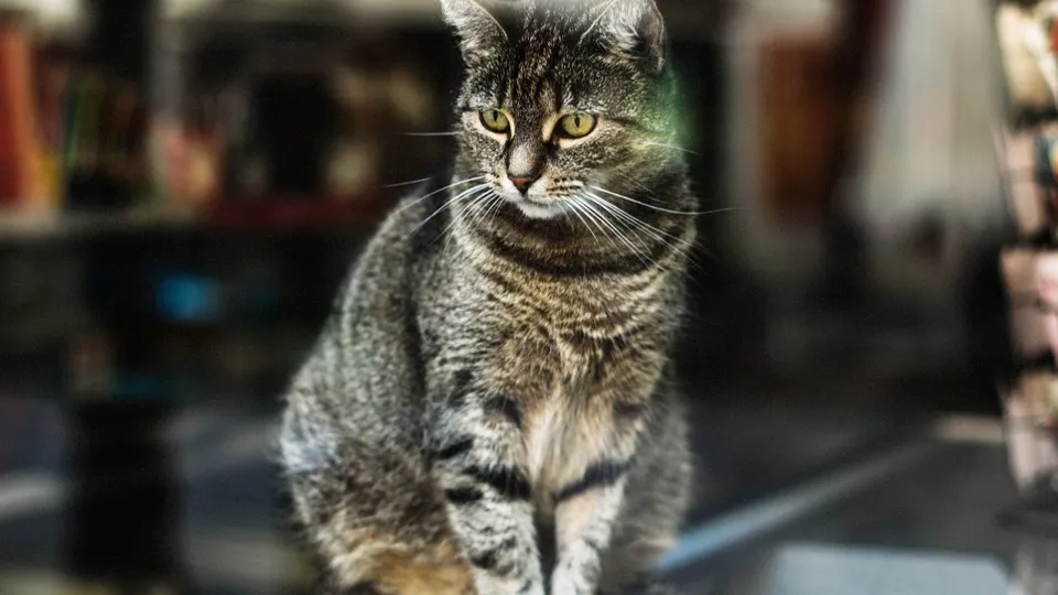 Фото: freepik.com