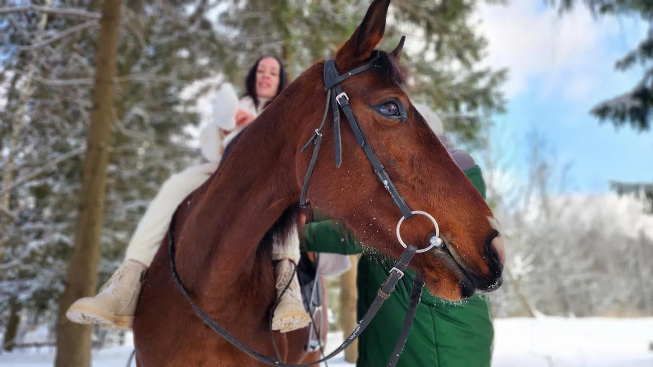Медибанк Подмосковья/Екатерина Данилина