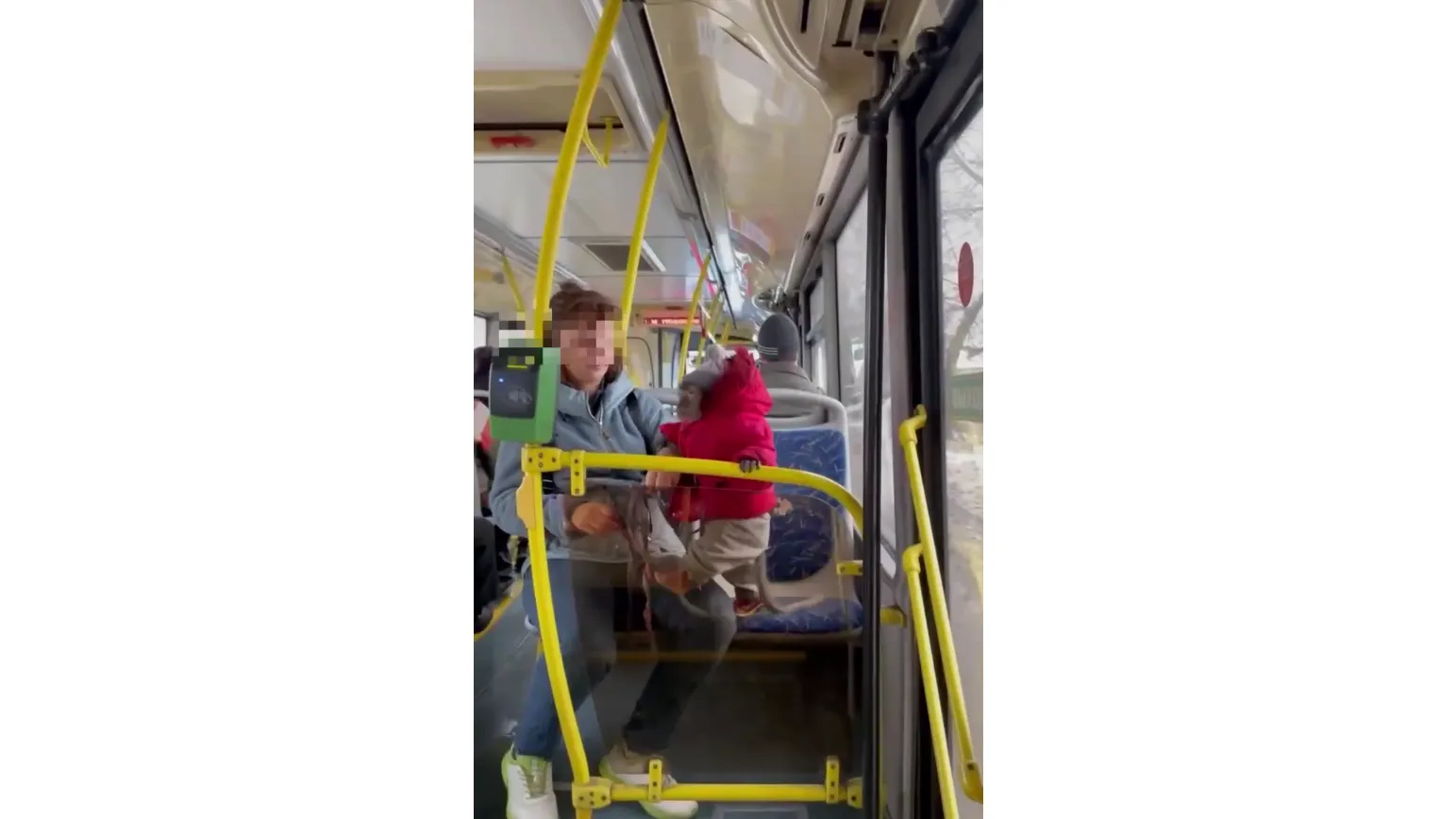 Фото: телеграм-канал «Подмосковье № 1»