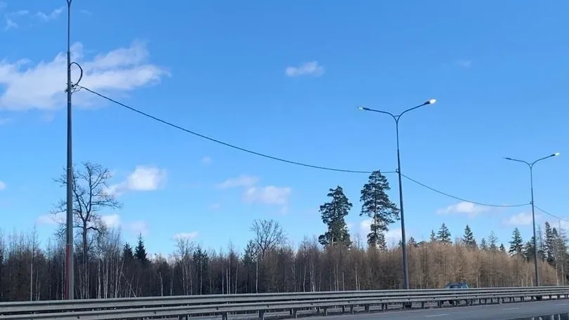 Фото: vk.com/Администрация городского округа Лобня