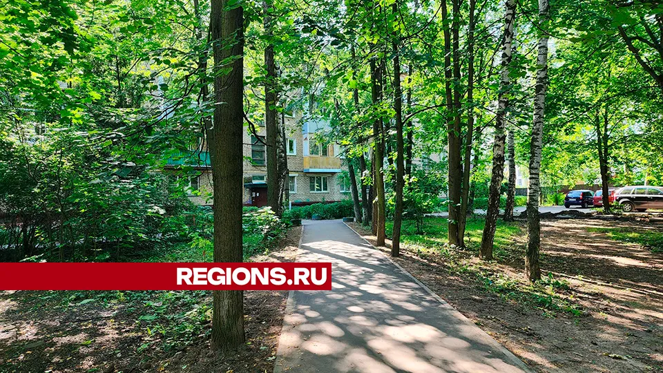 Фото: REGIONS/Роман Савельев