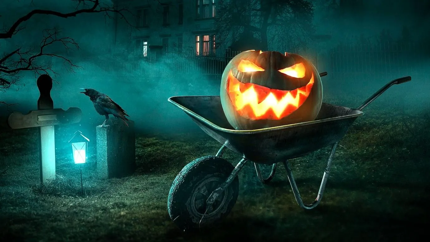 Источник: Freepik