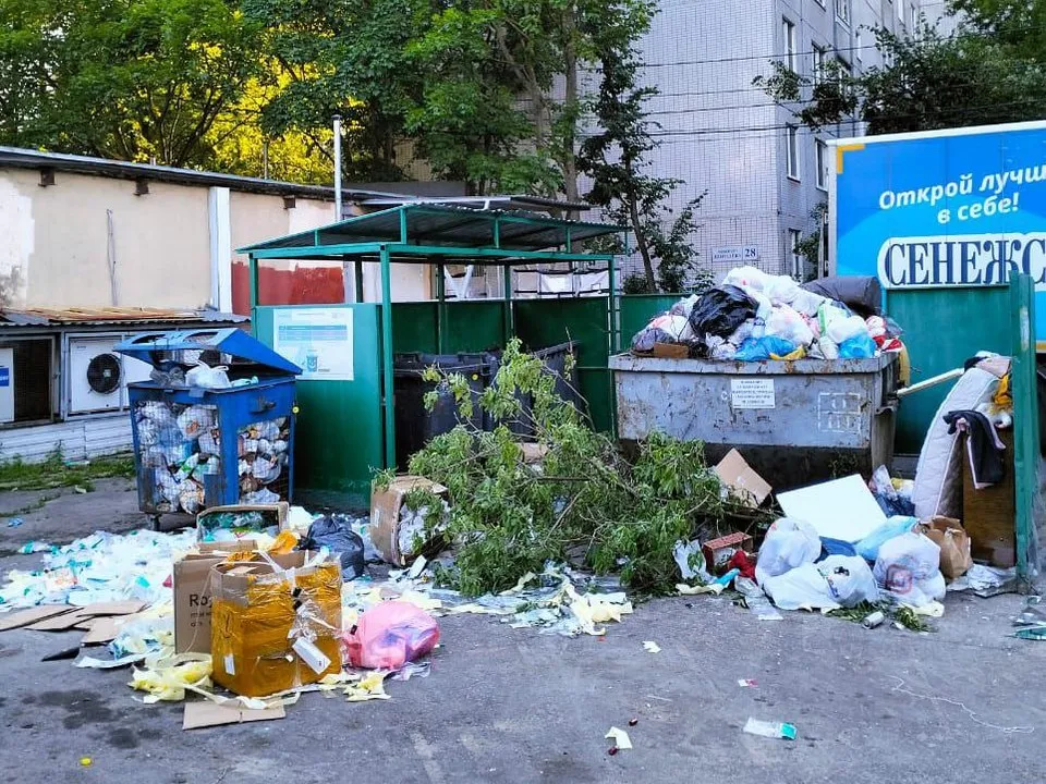 Фото: соцсети