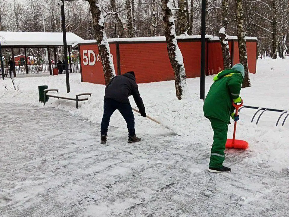 Фото: администрация г. о. Долгопрудный