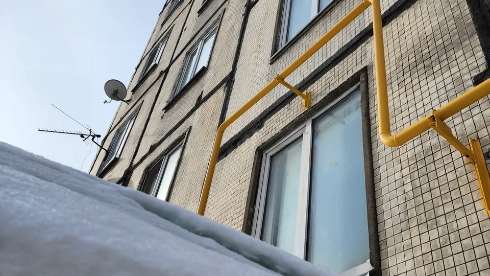 Фото: Медиа Банк Подмосковья/Валентина Максимова