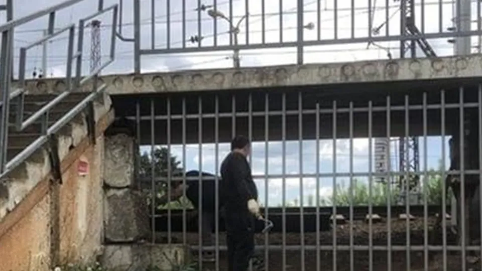 Фото: Министерство транспорта и дорожной инфраструктуры Московской области