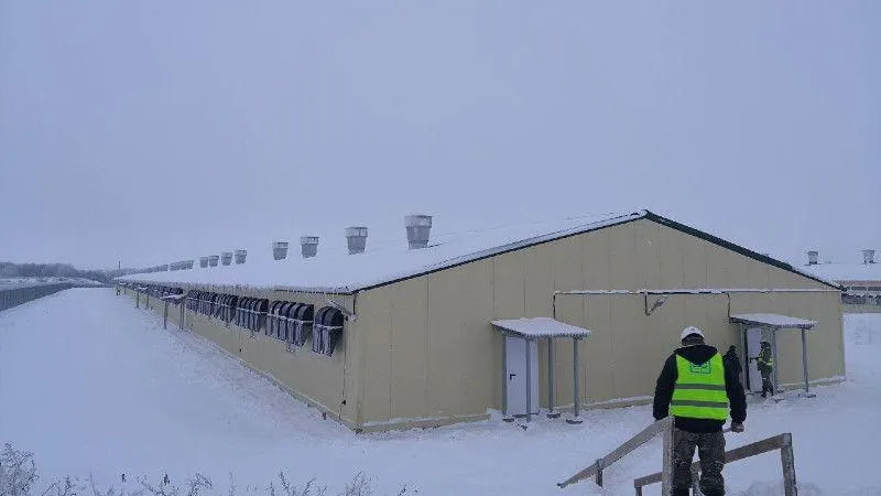 Девять сельскохозяйственных комплексов возвели в Подмосковье