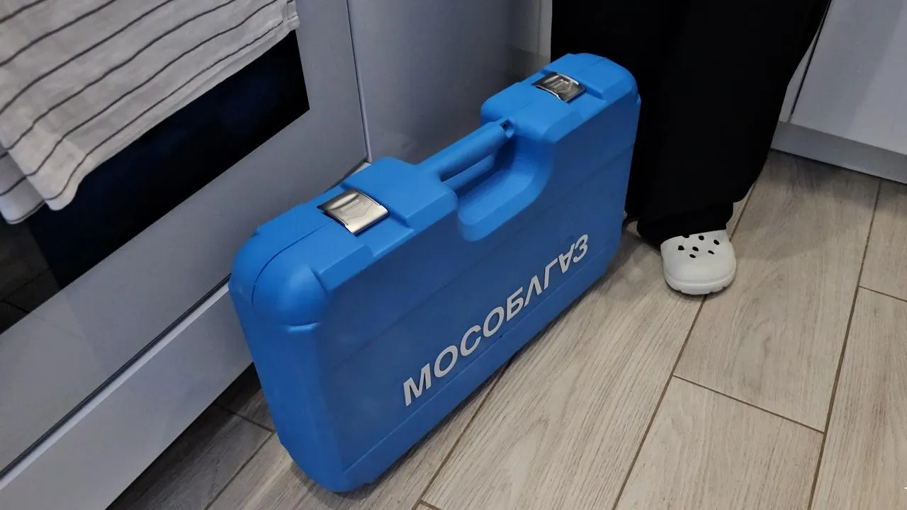 МедиаБанк Подмосковья/Анна Шолохова