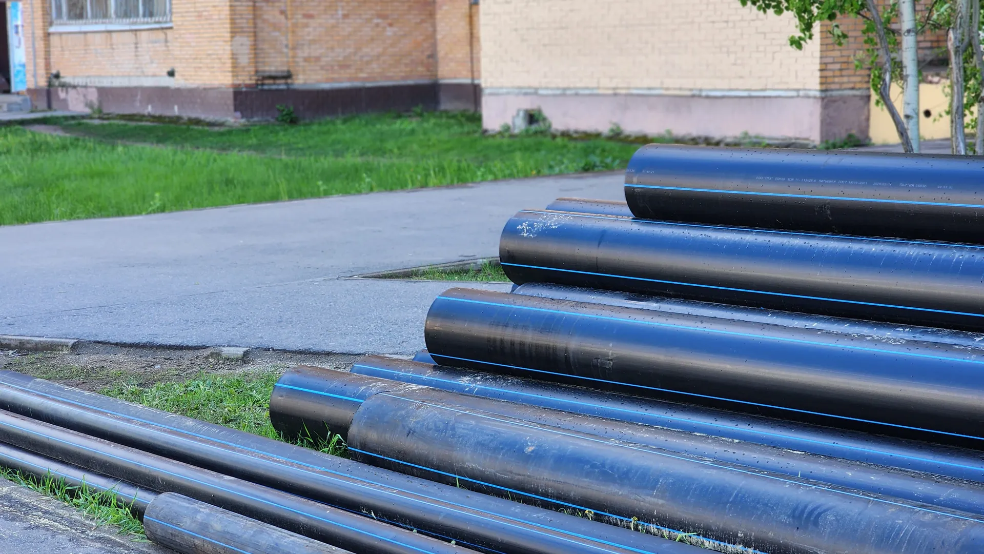 Фото: МедиаБанк Подмосковья/Полина Пахомова