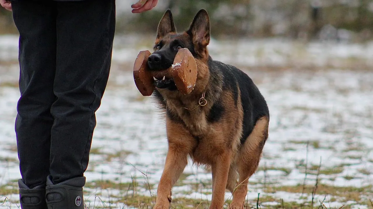 Министерство образования Московской области