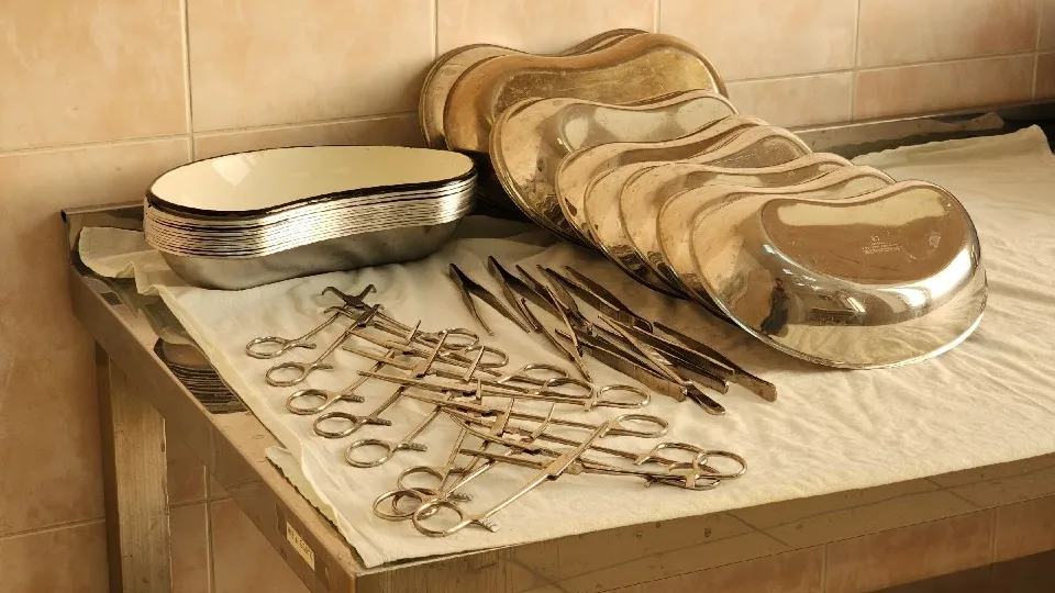 Фото: МедиаБанк Подмосковья/Артем Мишуков