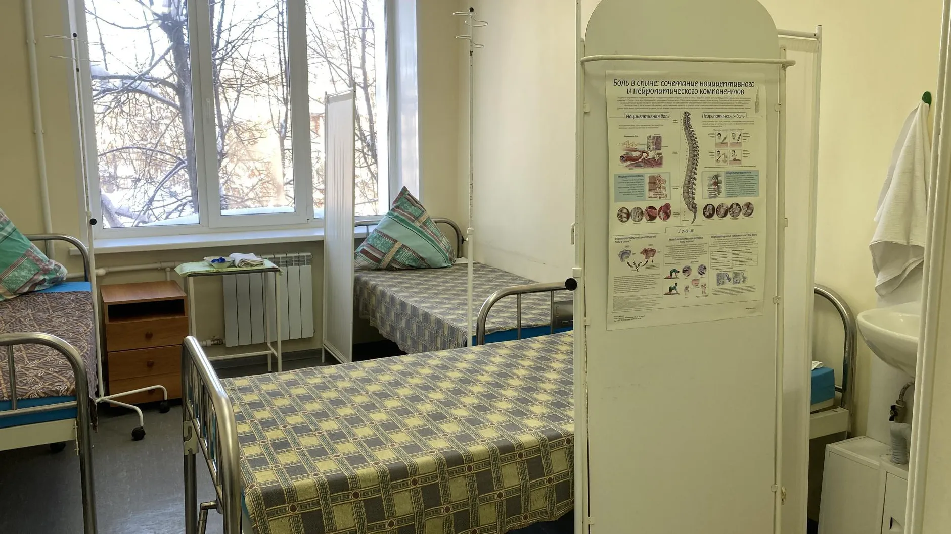 Анна Артюшина