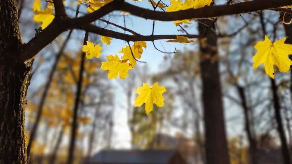 Фото: REGIONS/Алексей Селиверстов