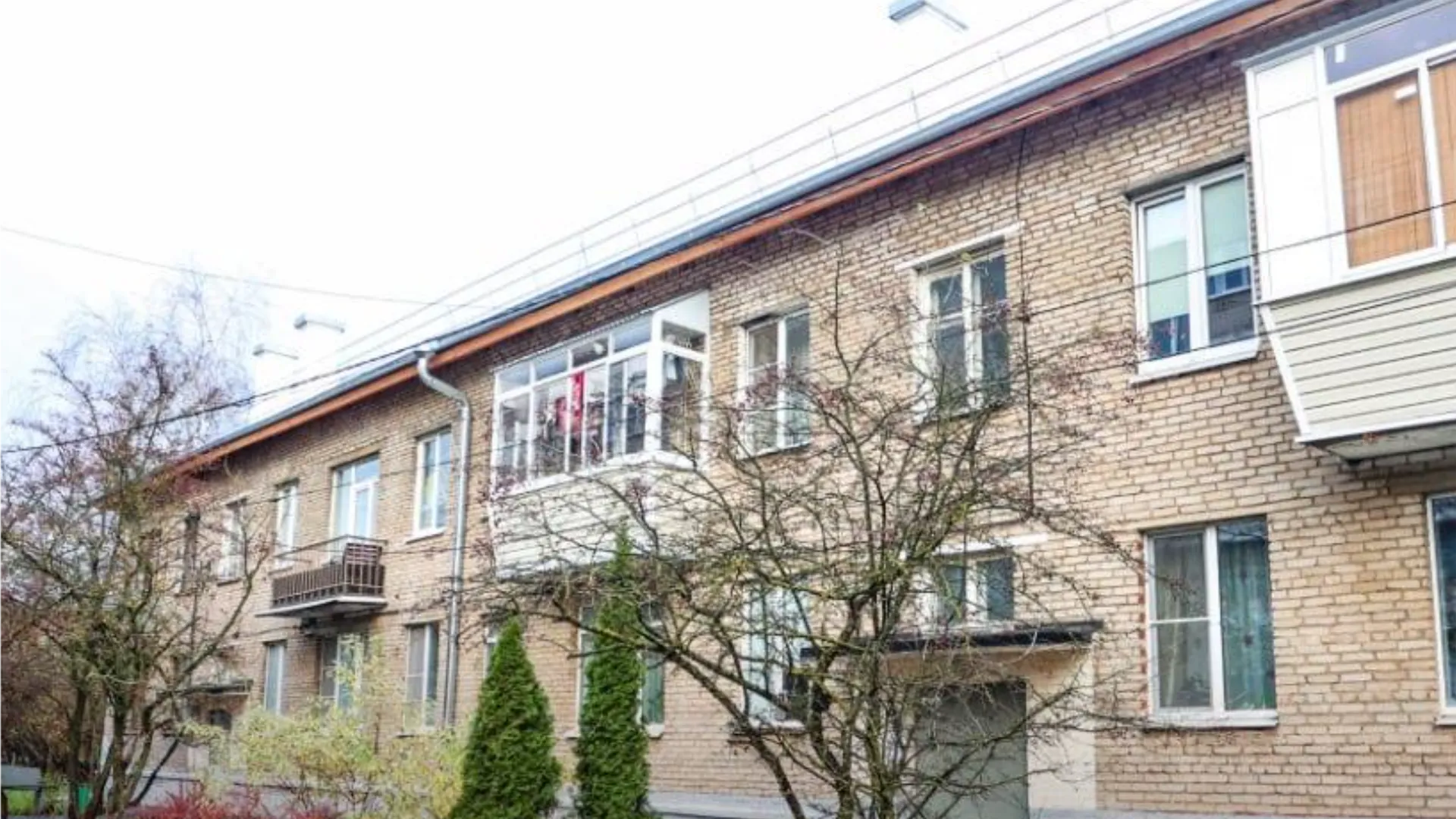 Фото: пресс-служба администрации г.о. Красногорск