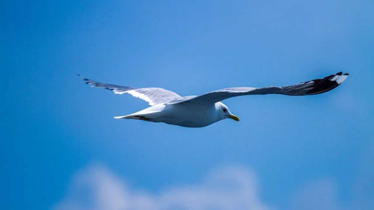 Три дня у моря без экскурсий: что значит отдых за 100 тыс. руб. в 2026 году