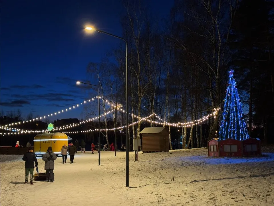 Фото: команда парков Домодедова&nbsp;