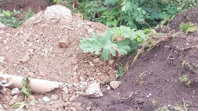 Фото: Министерство экологии и природопользования Московской области