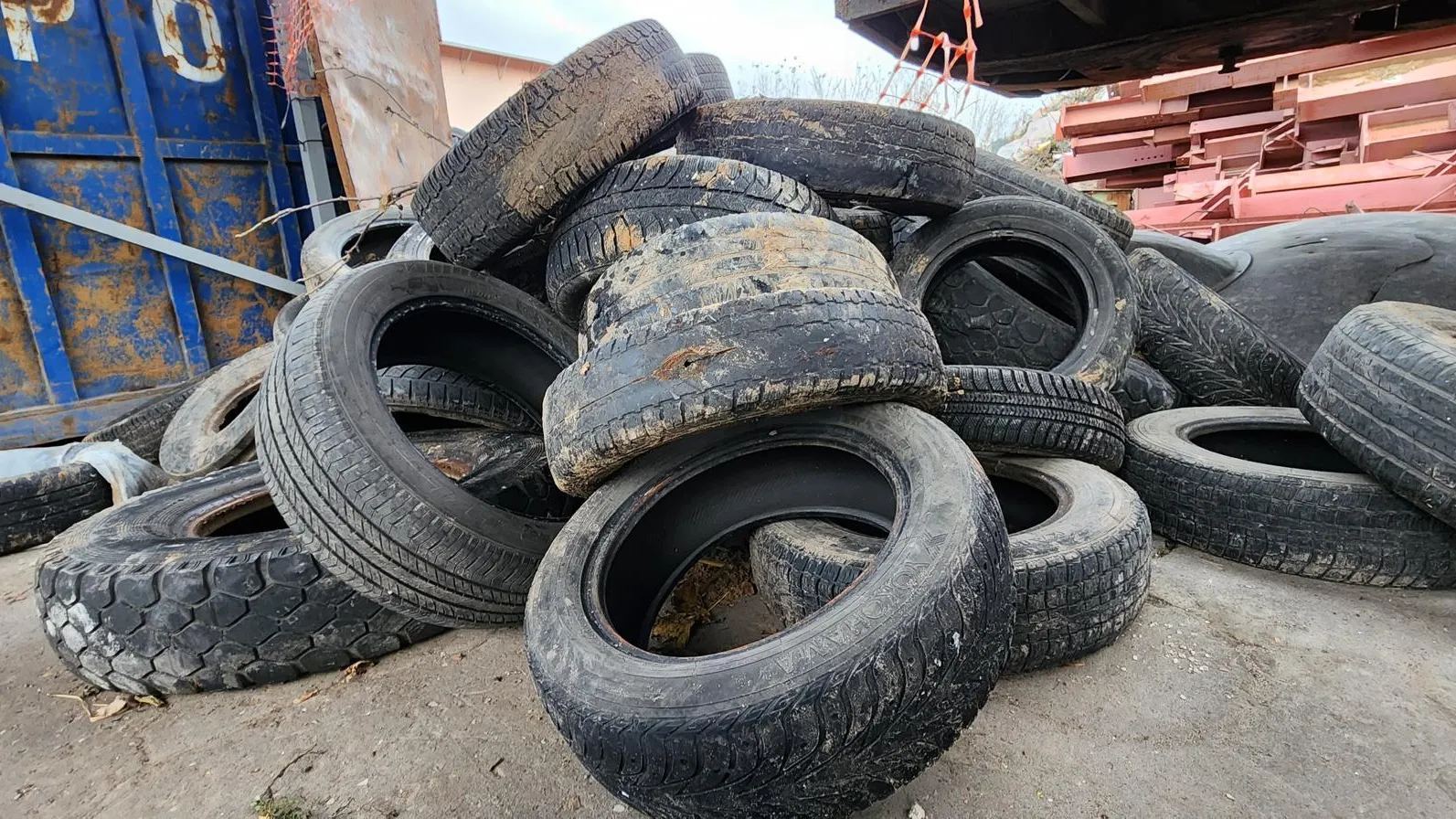 Марина Анисимова