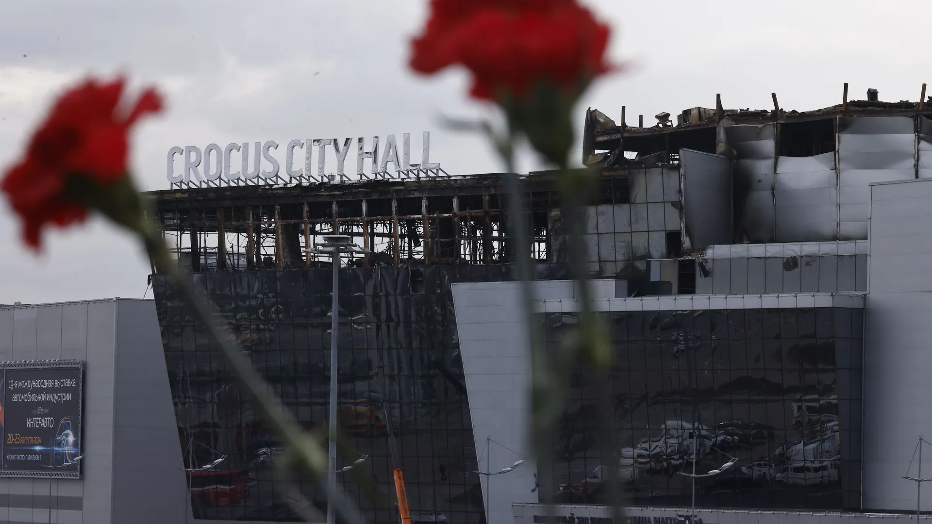 Фото: Андрей Любимов/ТАСС