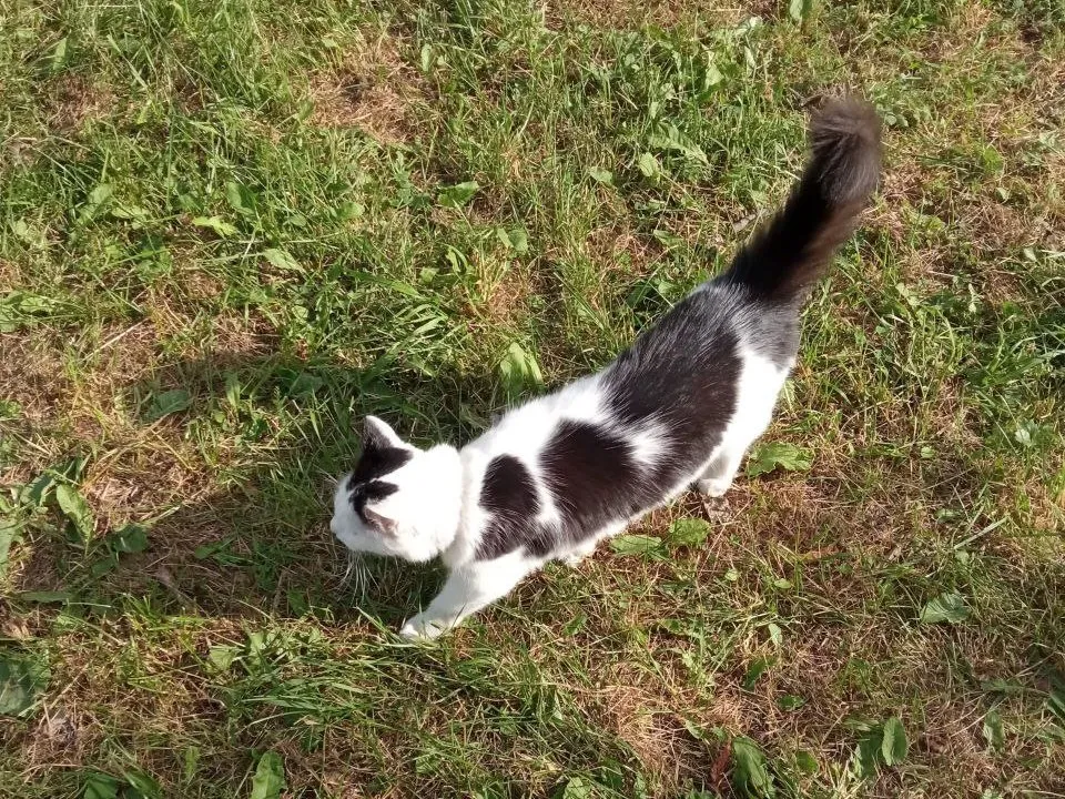 Фото: Александр Никишин