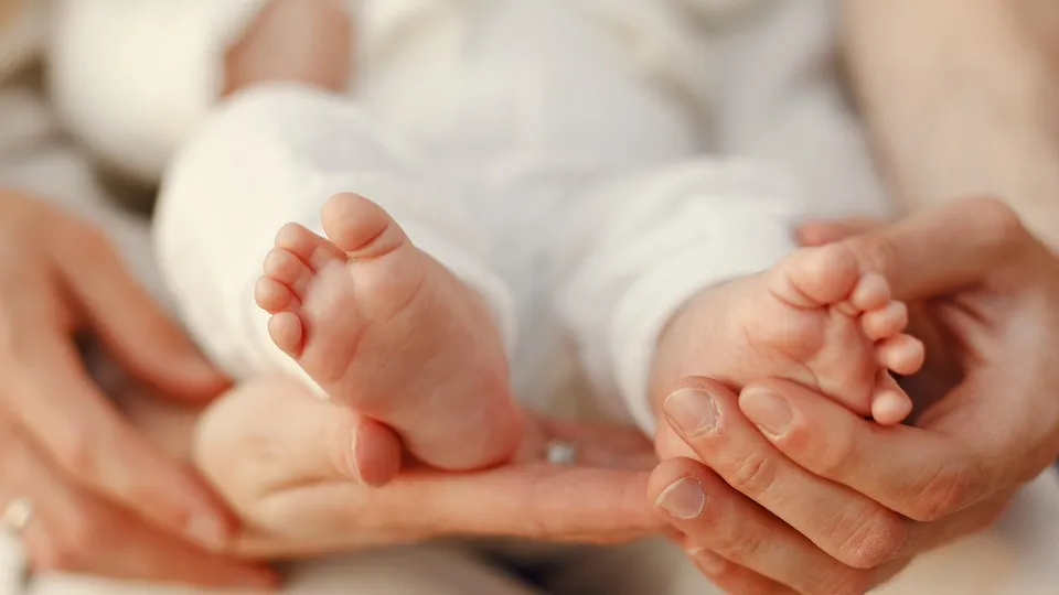 Фото: freepik.com