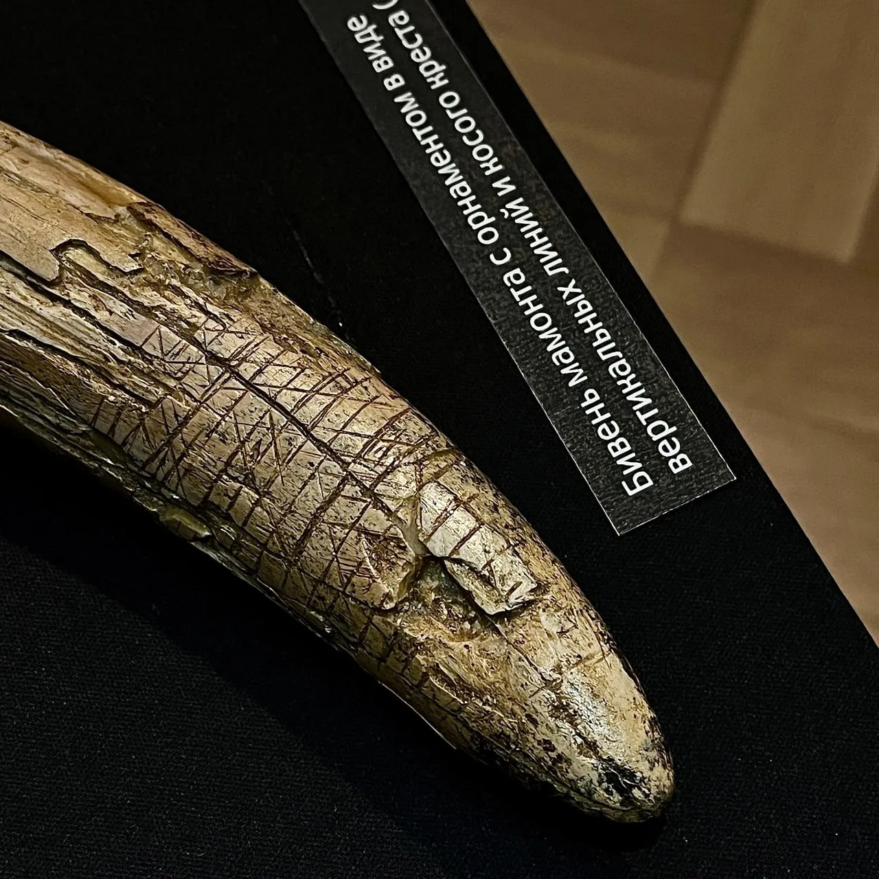 Фото: ГМЗ «Зарайский кремль».