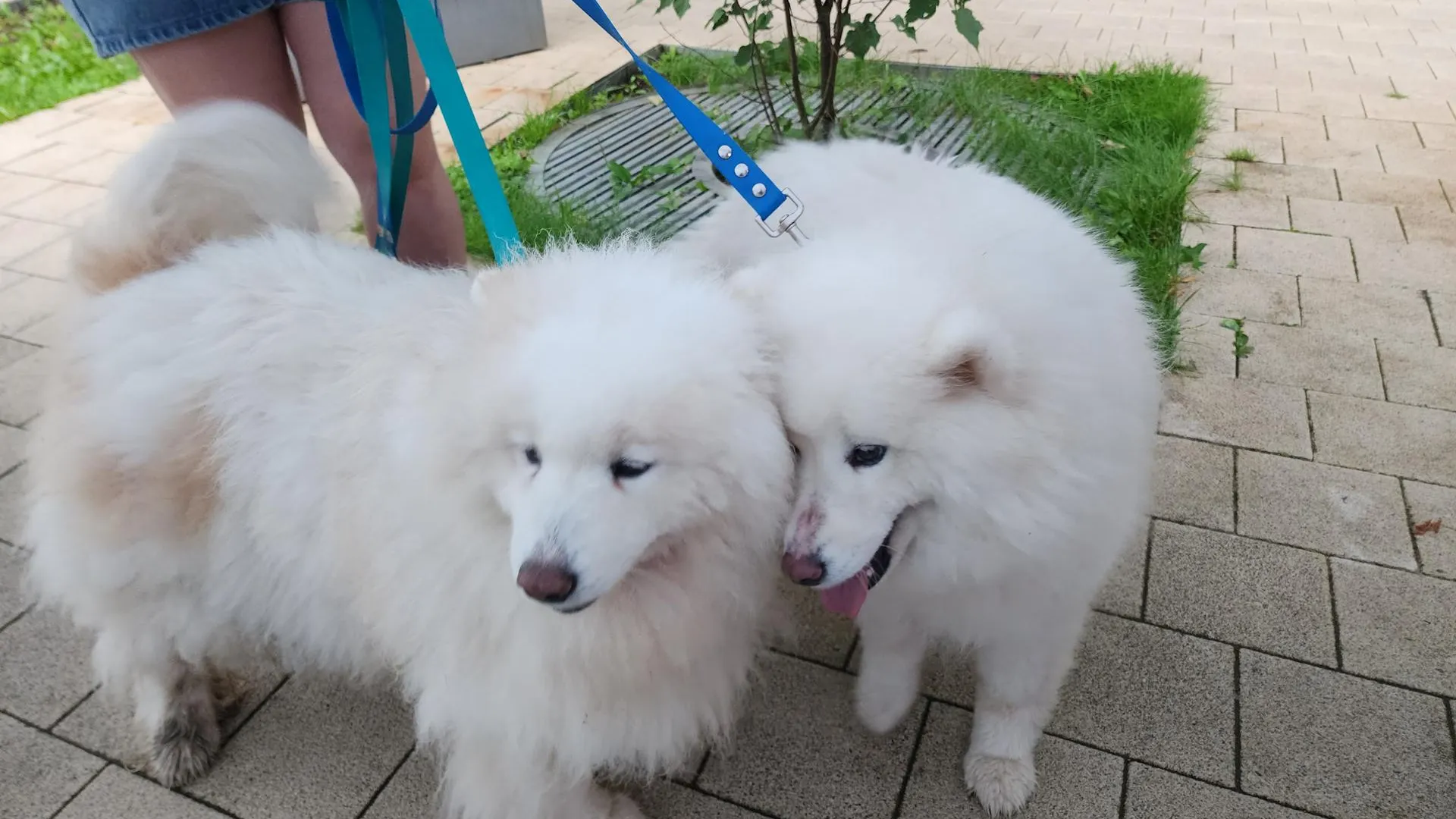 Фото: Евгения Герасимова