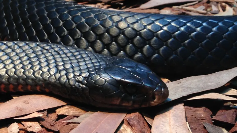 Фото: pxhere.com