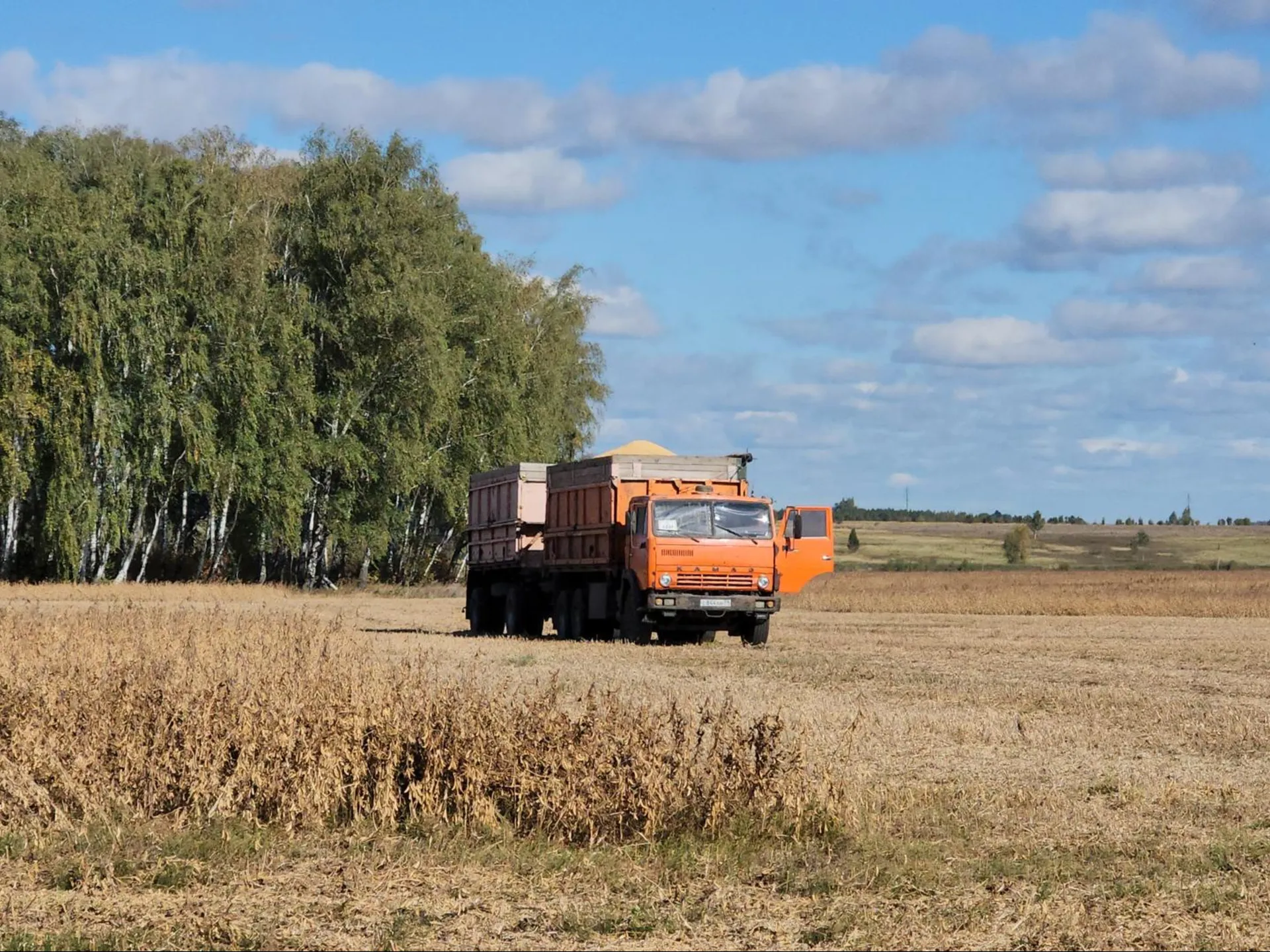 Фото: Медиабанк Подмосковья/Юлия Скавронова