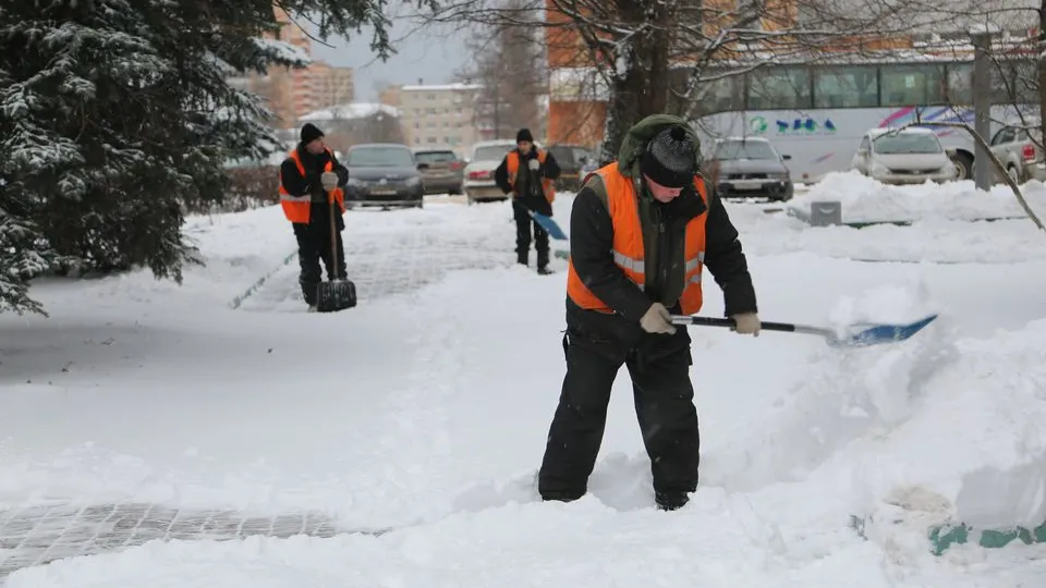 Фото: медиасток.рф
