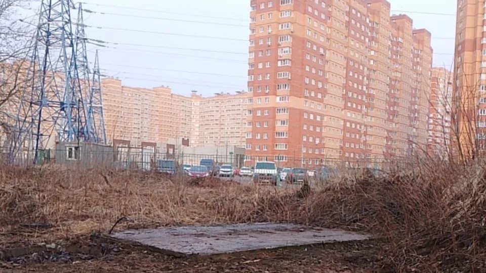 Фото: Территориальное управление Звенигород